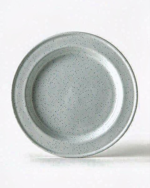 Speckle Spatter Dinner Plate in Porcelain